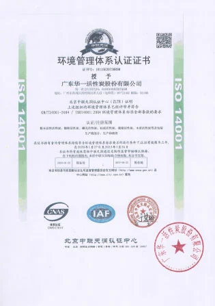 iso 9001 environment