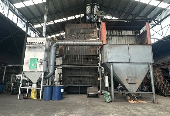 bio activated carbon