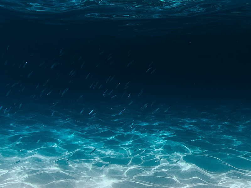 Desalination Water Treatment