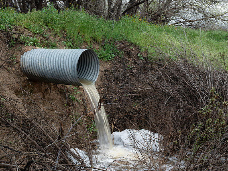 Per- and Polyfluoroalkyl Substances Removal