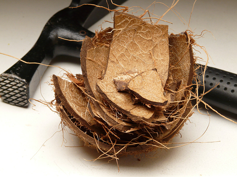 Activated Carbon for Catalyst Support