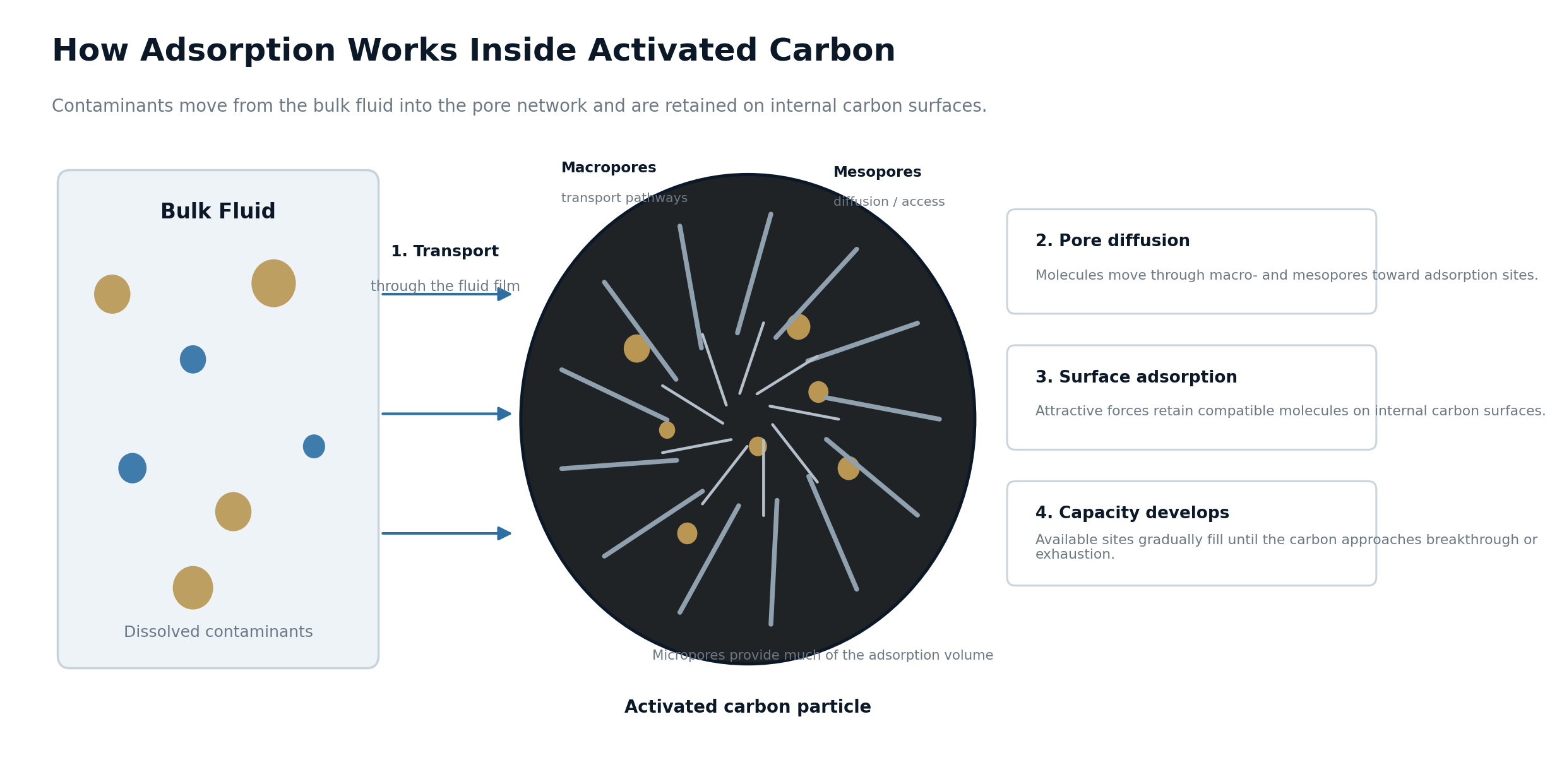How_Does_Activated_Carbon_Work_01.png